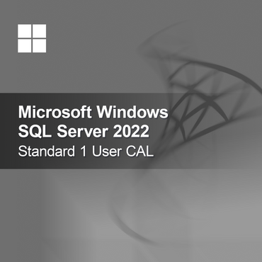 Microsoft SQL Server 2022 Standard 1 User CAL