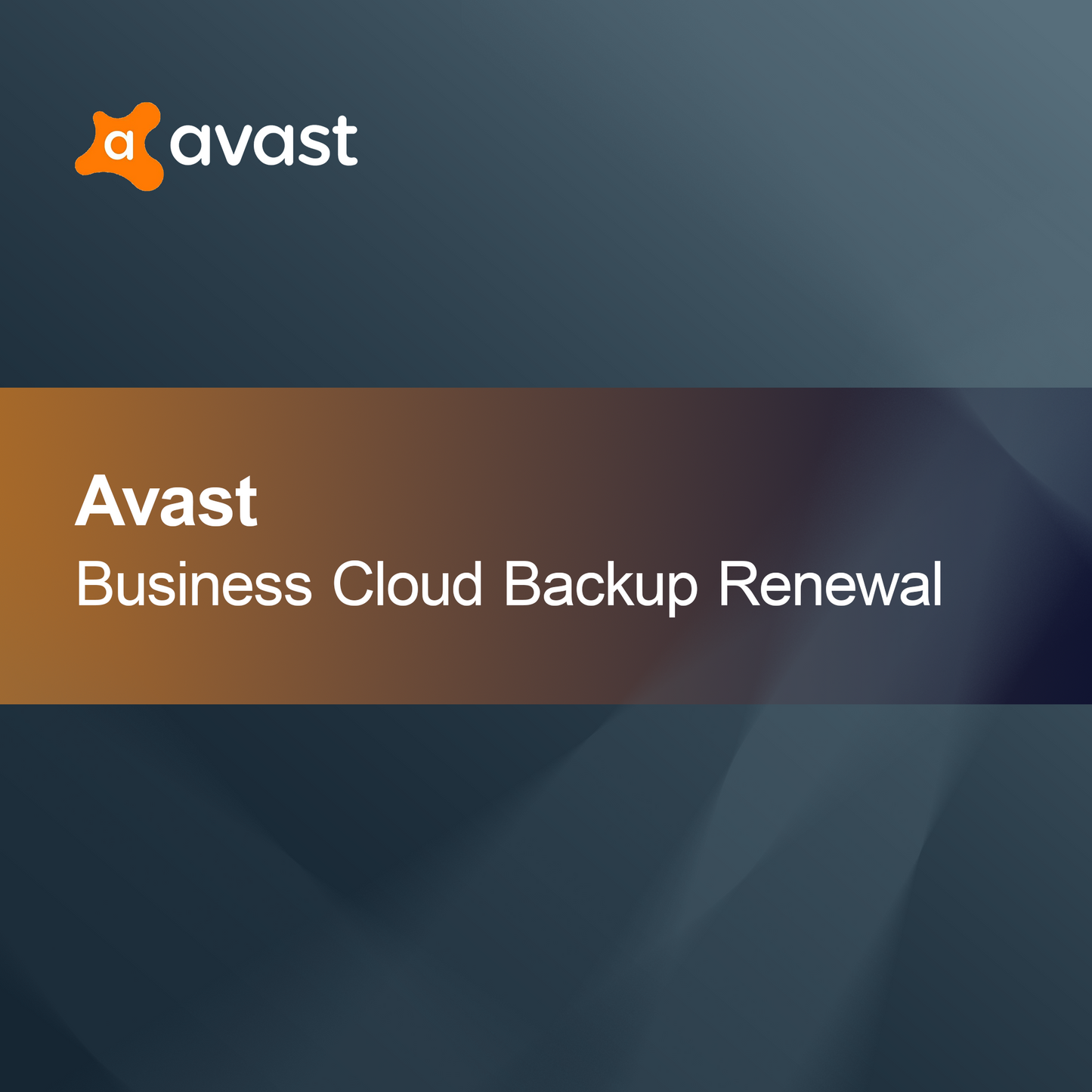 Avast Business Patch Management Renewal