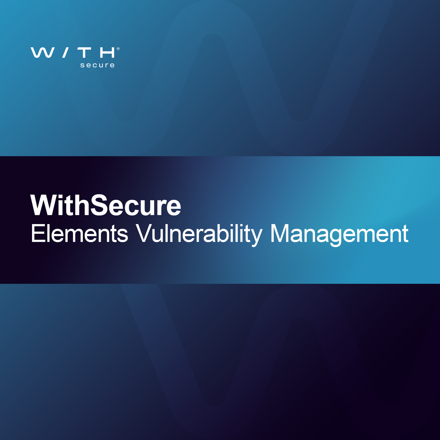 Gestión de Vulnerabilidades de WithSecure Elements